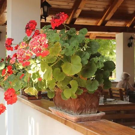 Racz Fogado Guest house Kisoroszi